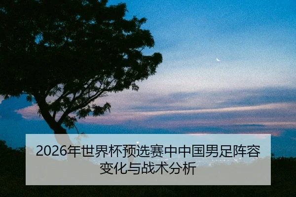 nian-shi-jie-bei-yu-xuan-sai-zhong-zhong-guo-nan-zu-zhen-rong-bian-hua-yu-zhan-shu-fen-xi-2-341.jpg