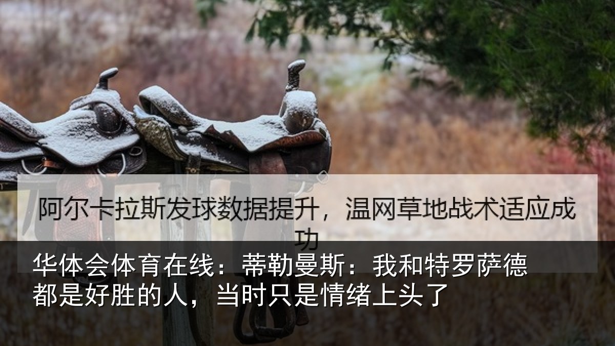 华体会体育在线:蒂勒相关情况都是相关情况情绪上头了
