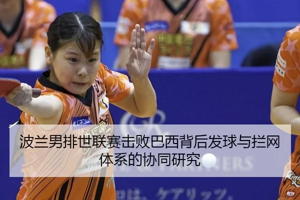 bo-lan-nan-pai-shi-lian-sai-ji-bai-ba-xi-bei-hou-fa-qiu-yu-lan-wang-ti-xi-de-xie-tong-yan-jiu-2-235.jpg