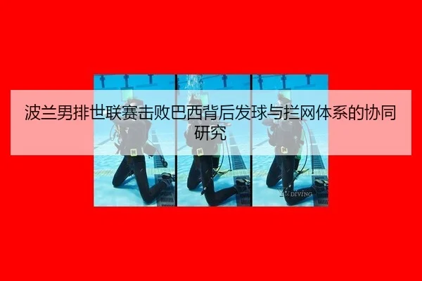 bo-lan-nan-pai-shi-lian-sai-ji-bai-ba-xi-bei-hou-fa-qiu-yu-lan-wang-ti-xi-de-xie-tong-yan-jiu-3-600.jpg