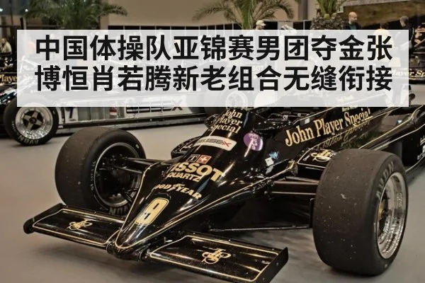 中国体操队亚锦赛男团夺金张博恒肖若腾新老组合无缝衔接